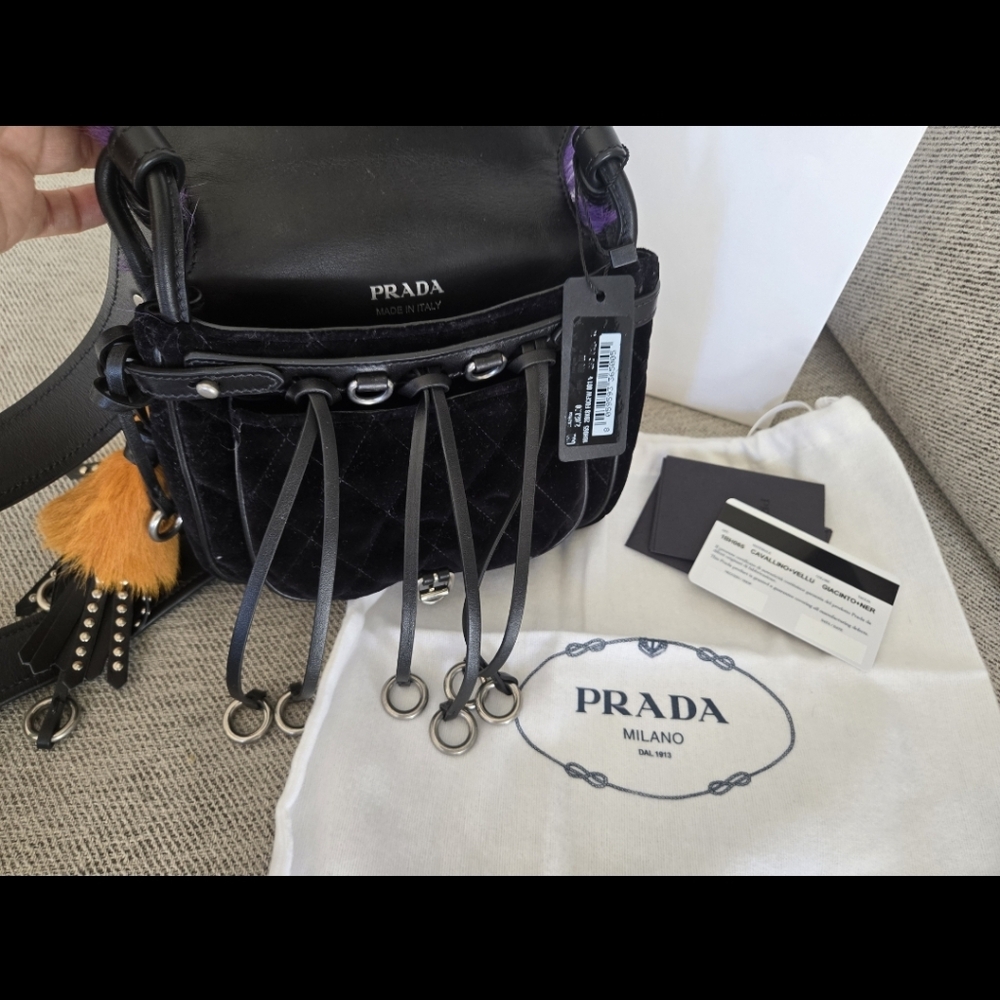 Prada CORSAIRE Crossbody Bag FUR Rare - NEW With Tag ( Retail 3580$) - Picture 4 of 5